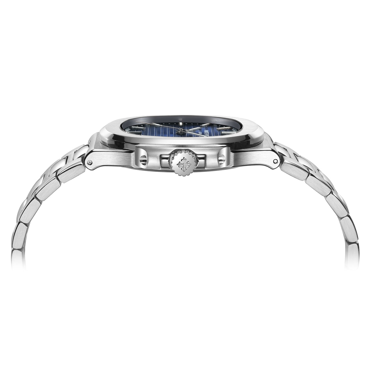 【レビュー特典付き】PAKOTTE FINISH ドーシマス?モデル シルバー×ブルー